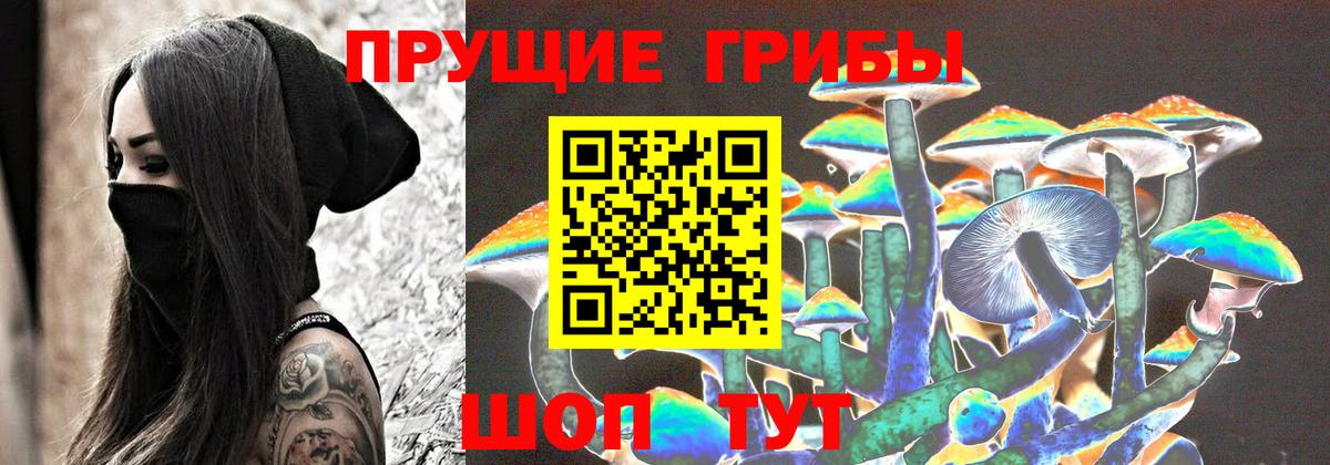Псилоцибиновые грибы GOLDEN TEACHER Чебаркуль