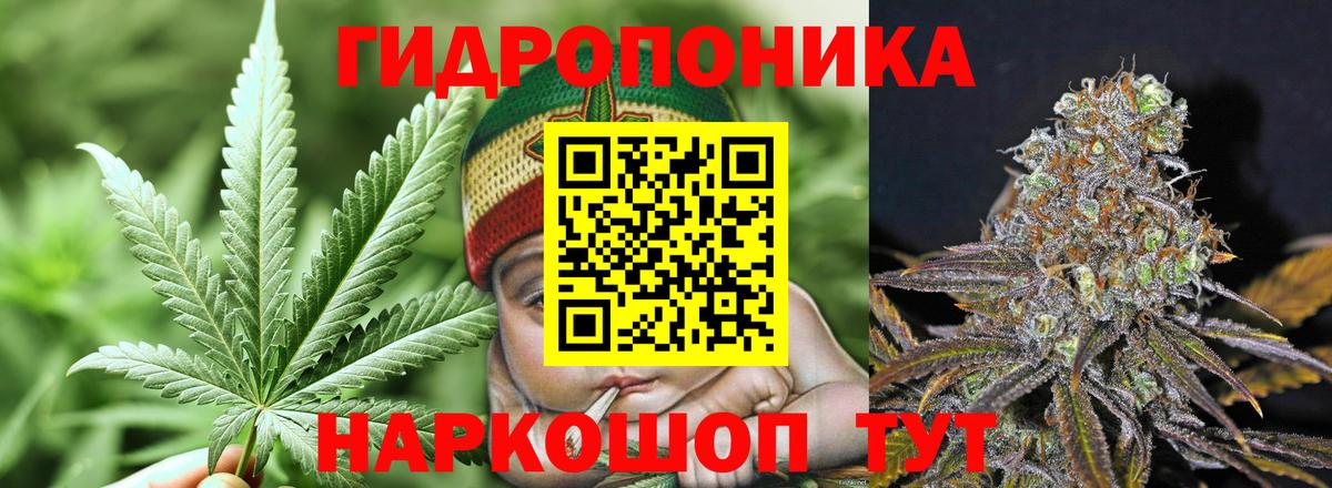 Чебаркуль  Каннабис семена  Вход с VPN  Шишки марихуана гибрид 